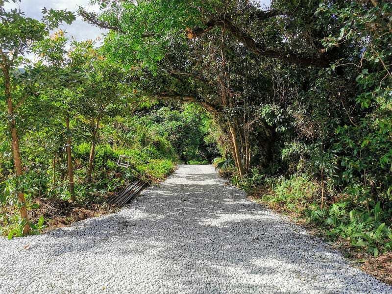 フィールド工事