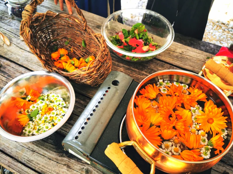 薬草ワークショップ